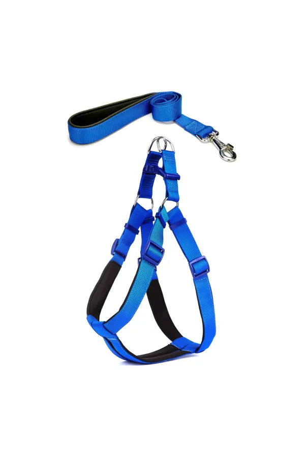 Köpek Göğüs Tasma Seti 40-60 cm Mavi + Gezdirme Kayışı Köpek Göğüs Tasma Seti 40-60 cm Mavi + Gezdirme Kayışı
